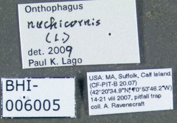 Media type: image;   Entomology 602112 Aspect: labels